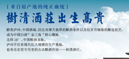 瀘州樹(shù)清酒莊.png